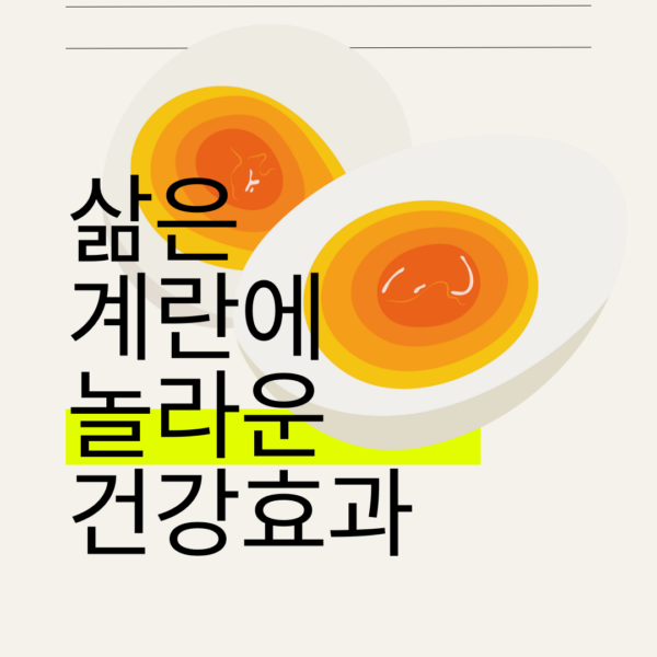 하루 삶은 달걀 한 개의 기적: 과학이 증명한 건강 효과 🥚💪