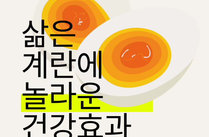 하루 삶은 달걀 한 개의 기적: 과학이 증명한 건강 효과 🥚💪