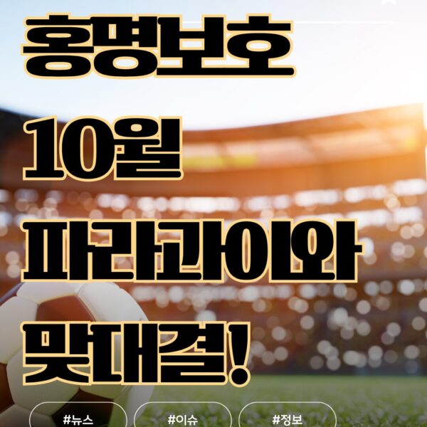 홍명보호 10월 파라과이와 맞대결! 3년 4개월 만의 재회, 기대되는 점검전